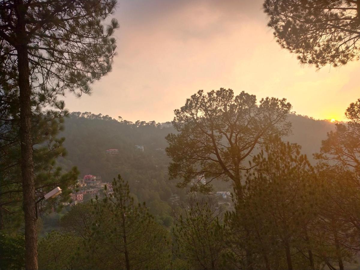 קסאולי Pine Villa מראה חיצוני תמונה