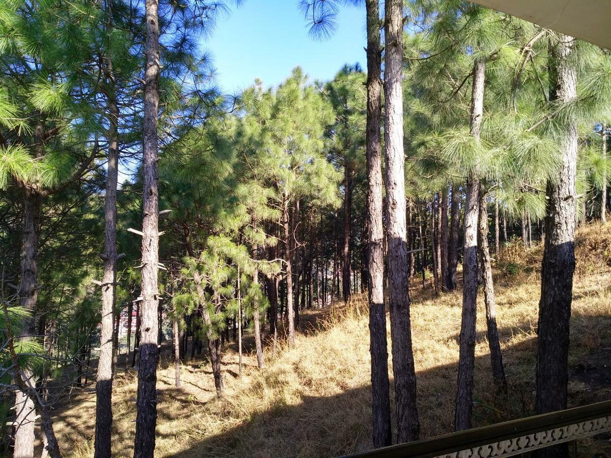 קסאולי Pine Villa מראה חיצוני תמונה